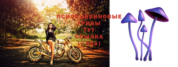спиды Абинск