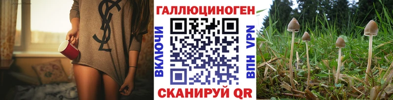 KRAKEN зеркало  где купить наркоту  Оренбург  Псилоцибиновые грибы MAGIC MUSHROOMS 